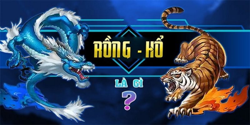 rồng hổ 8Xbet