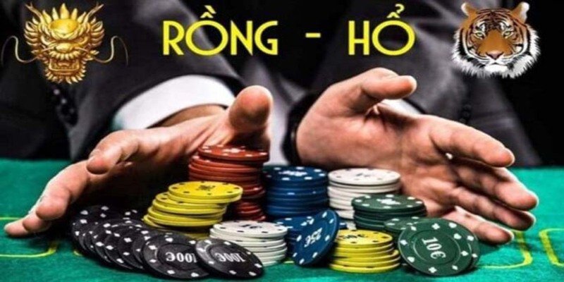 Tham gia cược bài rồng hổ nhà cái 8Xbet đơn giản